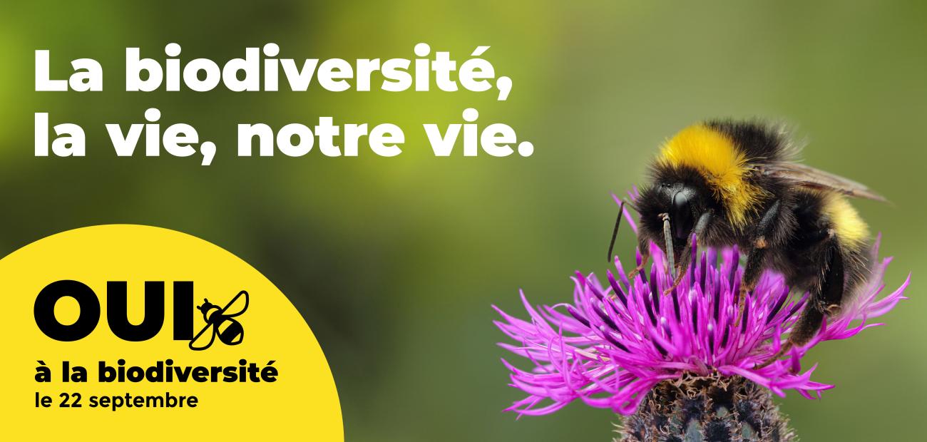 La biodiversité, la vie, notre vie.