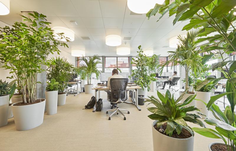 Oxygen at Work AG, Zürich