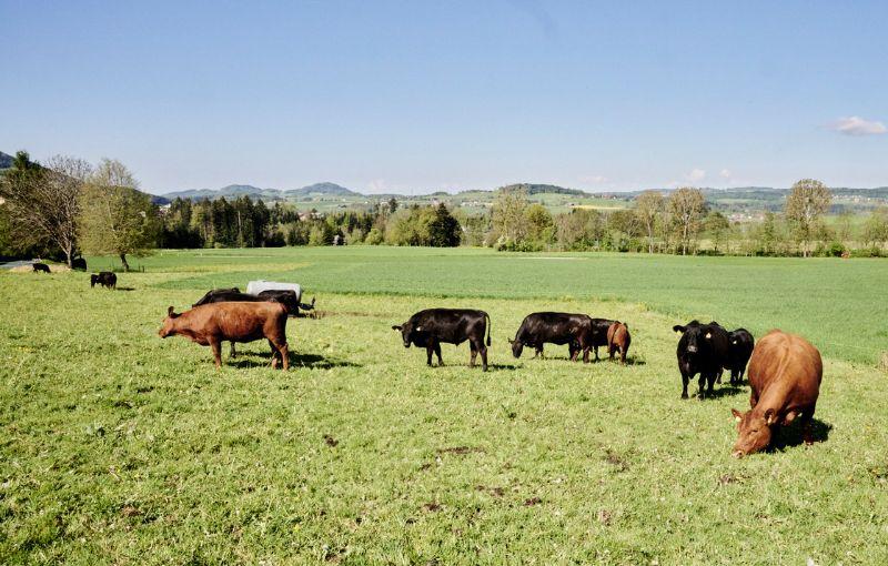 Ferme des Gadelles